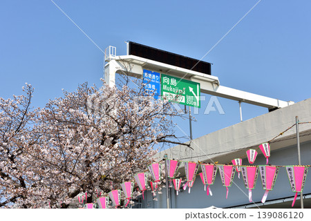 Cherry blossom lanterns displayed along the Sumida River during the cherry blossom festival. 139086120