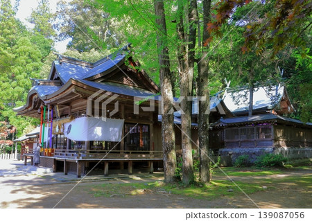 春意盎然的西山神社(大分市正殿) 春意盎然的西山神社(大分市正殿) 139087056