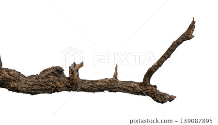 Dry branches isolated on a transparent background. Dry branches isolated on a transparent background. 139087895