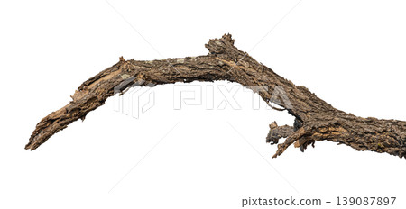 Dry branches isolated on a transparent background. Dry branches isolated on a transparent background. 139087897