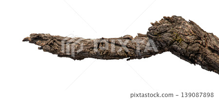 Dry branches isolated on a transparent background. Dry branches isolated on a transparent background. 139087898