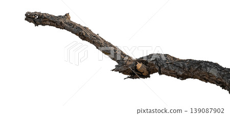 Dry branches isolated on a transparent background. Dry branches isolated on a transparent background. 139087902