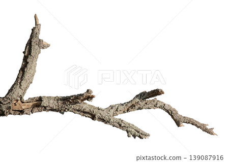 Dry branches isolated on a transparent background. Dry branches isolated on a transparent background. 139087916