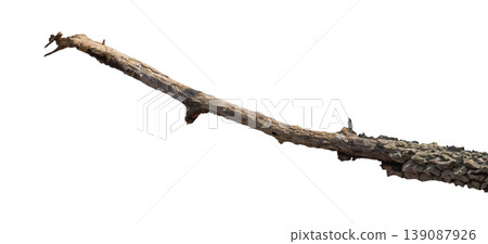 Dry branches isolated on a transparent background. Dry branches isolated on a transparent background. 139087926