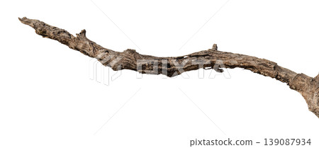 Dry branches isolated on a transparent background. Dry branches isolated on a transparent background. 139087934