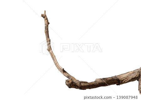 Dry branches isolated on a transparent background. Dry branches isolated on a transparent background. 139087948
