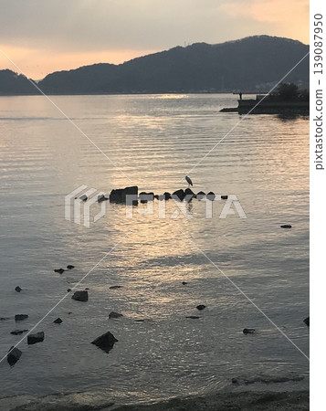 瀨戶內海上的日落和一隻白鷺 瀨戶內海上的日落和一隻白鷺 139087950