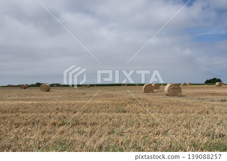 Golden agricultural field with hay bales under cloudy sky showing peaceful rural countryside landscape Golden agricultural field with hay bales under cloudy sky showing peaceful rural countryside landscape 139088257