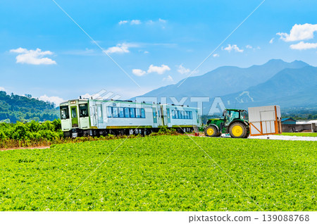 Koumi Line: A train running through summer lettuce fields. Koumi Line: A train running through summer lettuce fields. 139088768