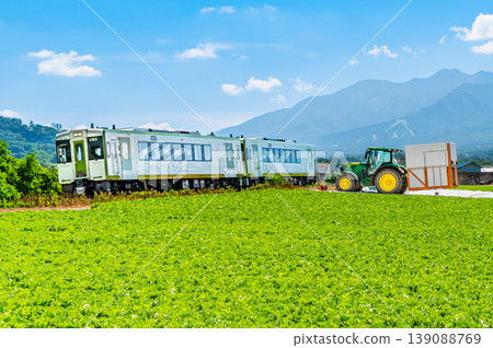 Koumi Line: A train running through summer lettuce fields. Koumi Line: A train running through summer lettuce fields. 139088769