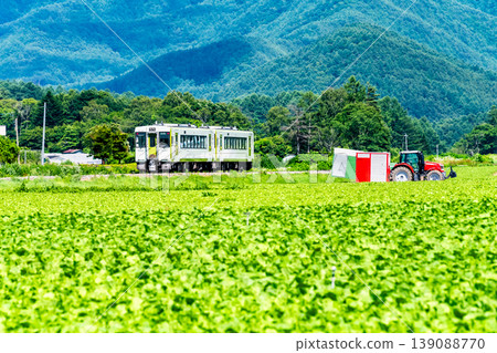 Koumi Line: A train running through summer lettuce fields. Koumi Line: A train running through summer lettuce fields. 139088770