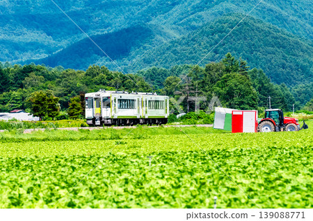 Koumi Line: A train running through summer lettuce fields. Koumi Line: A train running through summer lettuce fields. 139088771