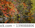 A pond dyed in autumn leaves 139088806