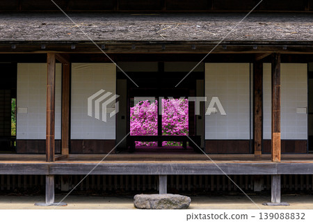 Yodogawa azalea blooming behind the reception hall of Usu Zenkoji Temple in Date City, Hokkaido [May] 139088832