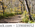 Autumn scenery along the Goshikinuma trail in Urabandai 139089052