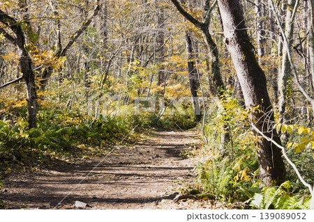 Autumn scenery along the Goshikinuma trail in Urabandai 139089052
