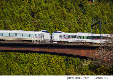 Kyoto, Hozugawa River Cruise: Express trains seen from the boat. Kyoto, Hozugawa River Cruise: Express trains seen from the boat. 139089670