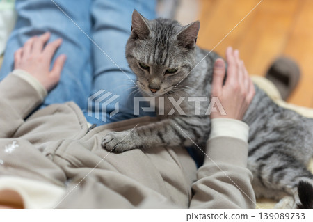 Owner petting a cat, tabby cat Owner petting a cat, tabby cat 139089733