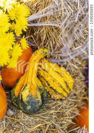Autumn gourds decorating hay with yellow flowers and spiderweb Autumn gourds decorating hay with yellow flowers and spiderweb 139089893