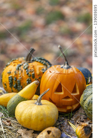 Halloween pumpkin jack o' lantern with autumn gourds and leaves Halloween pumpkin jack o' lantern with autumn gourds and leaves 139089895