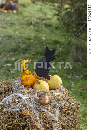Black cat silhouette with pumpkins on hay bale celebrating Halloween in Prague Black cat silhouette with pumpkins on hay bale celebrating Halloween in Prague 139089912
