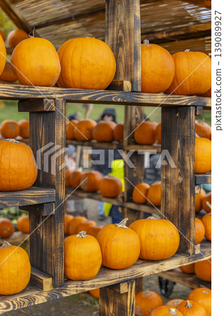 Orange pumpkins displaying on wooden shelves at market Orange pumpkins displaying on wooden shelves at market 139089927