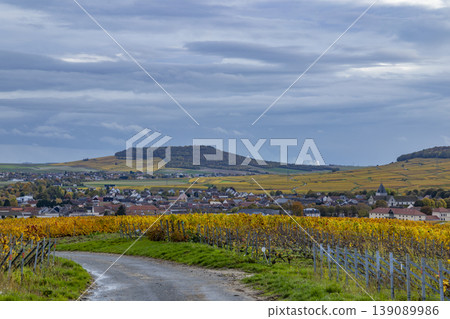 Vineyards with autumn colors surrounding Blancs Coteaux village, France Vineyards with autumn colors surrounding Blancs Coteaux village, France 139089986