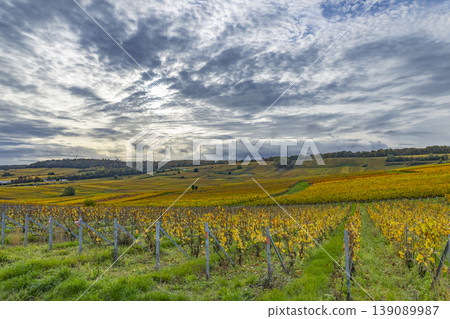 Autumn vineyard landscape in Champagne, France Autumn vineyard landscape in Champagne, France 139089987