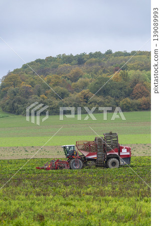 Sugar beet harvester working field in Vert Toulon, France 139089993