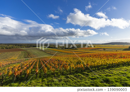 Autumn vineyard colors in Burgundy, France Autumn vineyard colors in Burgundy, France 139090003
