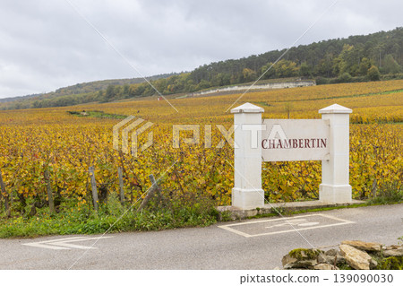 Chambertin Grand Cru vineyard in Gevrey Chambertin, France Chambertin Grand Cru vineyard in Gevrey Chambertin, France 139090030
