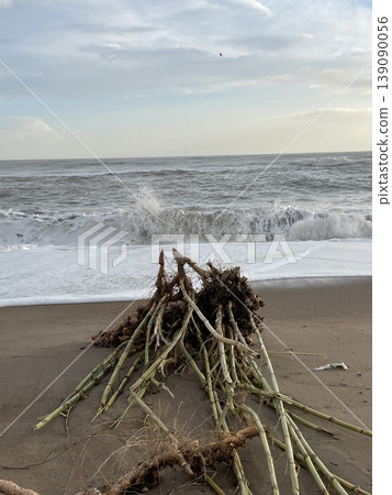 Waves crashing on sandy beach with uprooted plant along coastline, vertical Waves crashing on sandy beach with uprooted plant along coastline, vertical 139090056