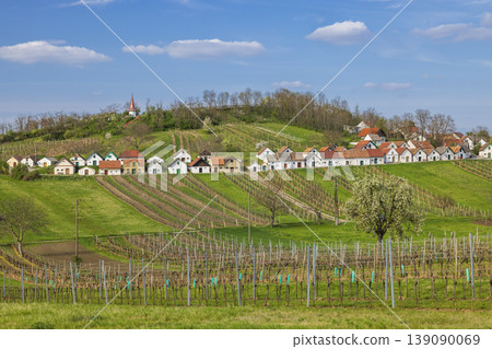 Wildendurnbach cellar wine street in Lower Austria Wildendurnbach cellar wine street in Lower Austria 139090069