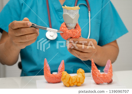 Hyperthyroidism, Overactive Thyroid, Thyroid Lymphoma, Asian doctor with thyroid gland human model in hospital. Hyperthyroidism, Overactive Thyroid, Thyroid Lymphoma, Asian doctor with thyroid gland human model in hospital. 139090707