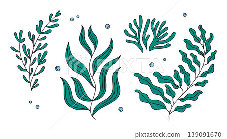 Hand-drawn botanical illustrations of various aquatic plants with bubbles 139091670
