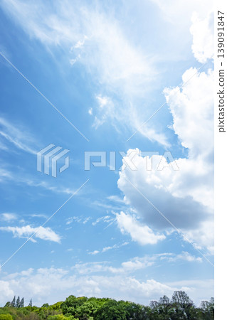 Springtime blue sky, clouds, and fresh green leaves Springtime blue sky, clouds, and fresh green leaves 139091847
