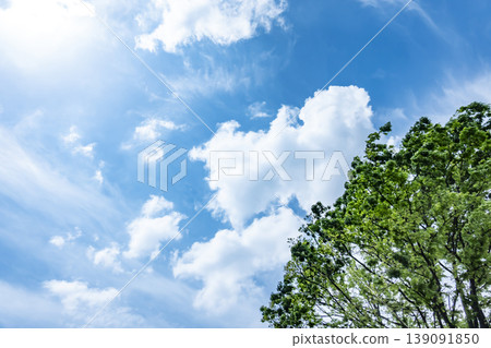 Springtime blue sky, clouds, and fresh green leaves 139091850