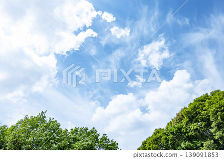 Springtime blue sky, clouds, and fresh green leaves Springtime blue sky, clouds, and fresh green leaves 139091853