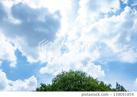 Springtime blue sky, clouds, and fresh green leaves Springtime blue sky, clouds, and fresh green leaves 139091854
