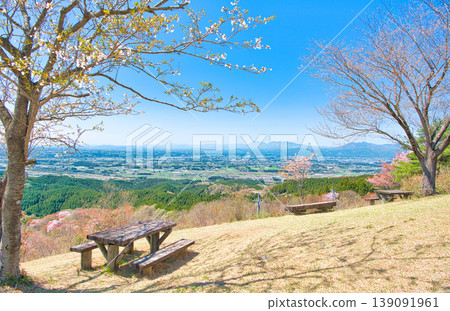 栃木縣大田原市禦殿山上的櫻花盛開。 栃木縣大田原市禦殿山上的櫻花盛開。 139091961