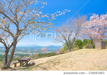 栃木縣大田原市禦殿山上的櫻花盛開。 栃木縣大田原市禦殿山上的櫻花盛開。 139091963