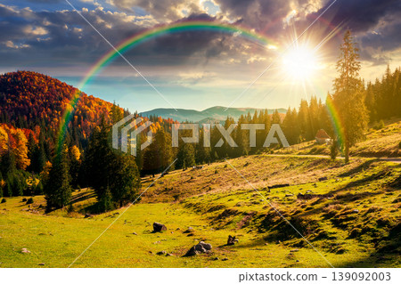 sunset over fir trees on a meadow down the hill to coniferous forest in mountains of Romania nature. view of remote colorful forest at the foot of a mountain in autumn under the rainbow sunset over fir trees on a meadow down the hill to coniferous forest in mountains of Romania nature. view of remote colorful forest at the foot of a mountain in autumn under the rainbow 139092003