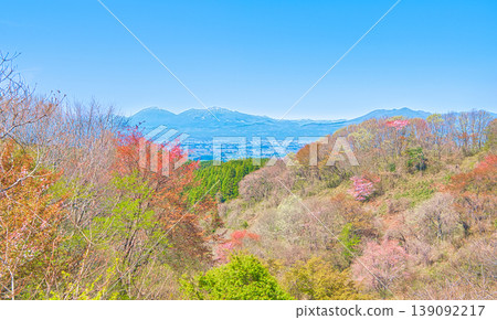 Cherry blossoms in full bloom as seen from Mt. Goten in Otawara City, Tochigi Prefecture. Cherry blossoms in full bloom as seen from Mt. Goten in Otawara City, Tochigi Prefecture. 139092217