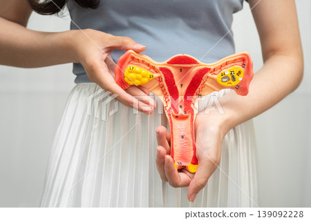 Uterus, Asian woman holding human anatomy model. Uterus, Asian woman holding human anatomy model. 139092228