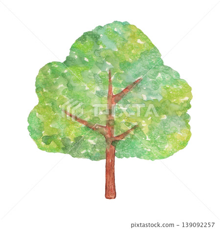Watercolor tree illustration 139092257