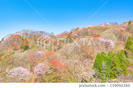 Cherry blossoms in full bloom as seen from Mt. Goten in Otawara City, Tochigi Prefecture. Cherry blossoms in full bloom as seen from Mt. Goten in Otawara City, Tochigi Prefecture. 139092260