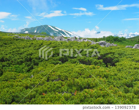Snow-covered Mt. Yukikura as seen from Mt. Hakuba Norikura in summer. Snow-covered Mt. Yukikura as seen from Mt. Hakuba Norikura in summer. 139092378