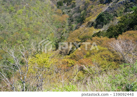 春天的山 139092448