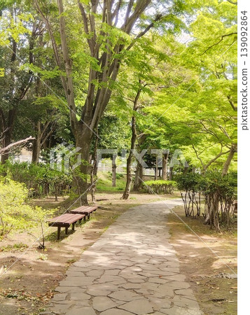 一個新鮮的綠色公園的道路 一個新鮮的綠色公園的道路 139092864