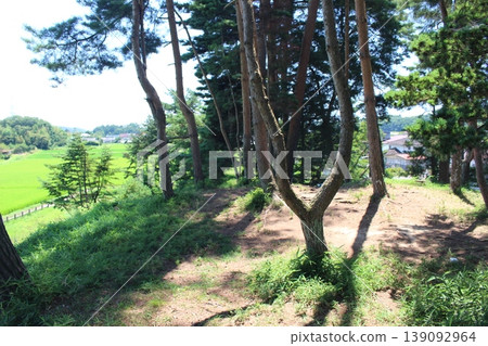 Shimo Samurai Tsuka Tomb 139092964